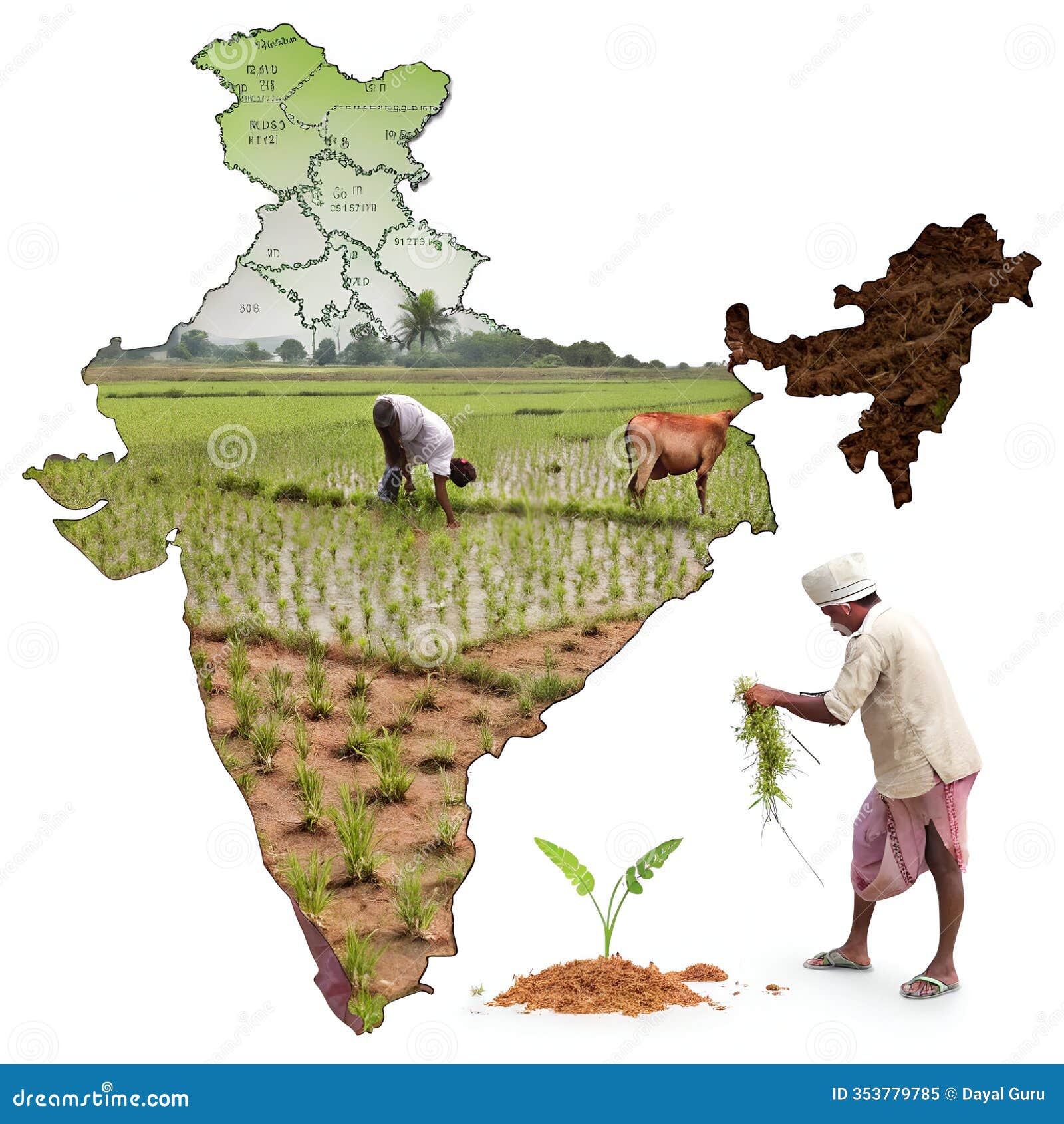 Modern seed processing facility with machinery